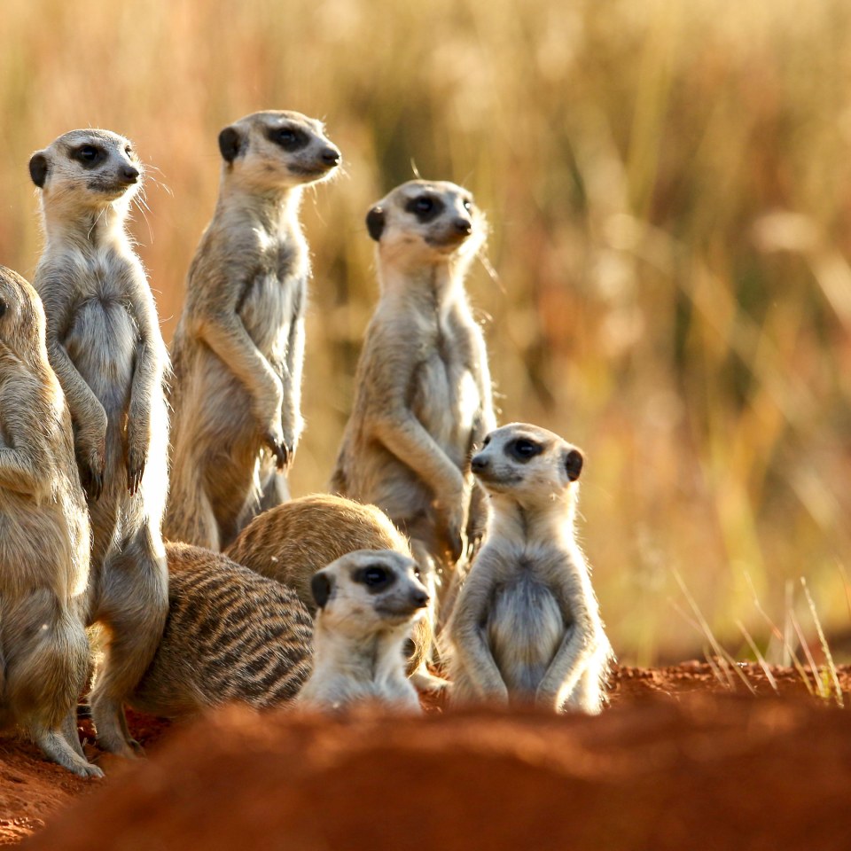 Roadtrip entlang der Garden Route